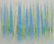 JdB-Natuur-Bomen-20-p