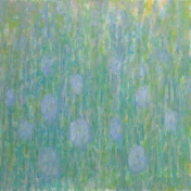 JdB-Natuur-Weide-03-80x80p