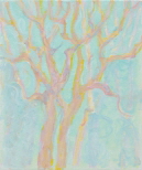 JdB-Natuur-Bomen-04p