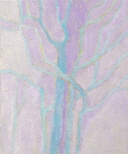 JdB-Natuur-Bomen-15p