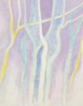 JdB-Natuur-Bomen-16p